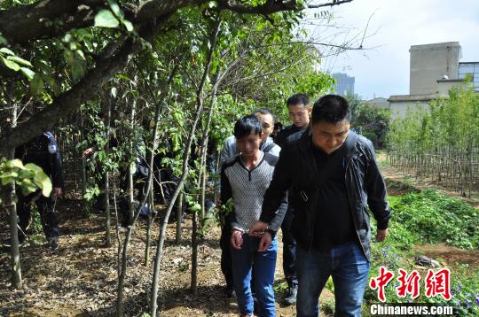 《桃花源记》手游五月来袭 预约即将开启|足球赌注软件(图1) 十大足球赌注软件排行榜