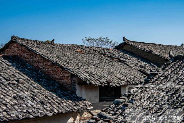 十大足球赌注软件排行榜