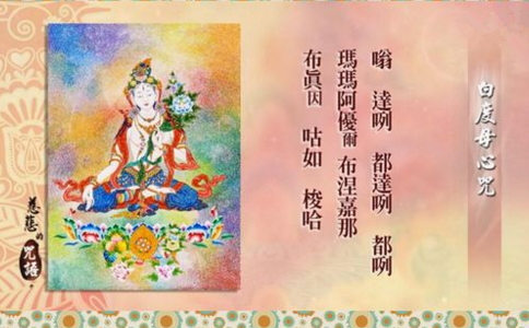 阳光城:为3家公司共计12.45亿元融资提供担保“十大足球赌注软件”(图3) 足球赌注软件APP