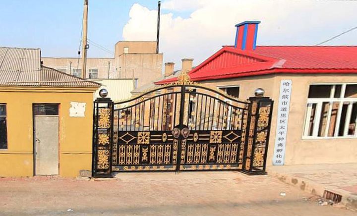 NBA将官方用球由斯伯丁改为威尔胜【十大足球赌注软件】(图2) 足球赌注软件APP