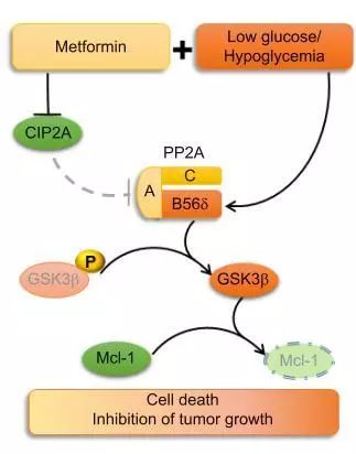 “足球赌注软件APP”加价两次!威克多9.7亿摘大兴新城北区地块(图1) 十大足球赌注软件排行榜