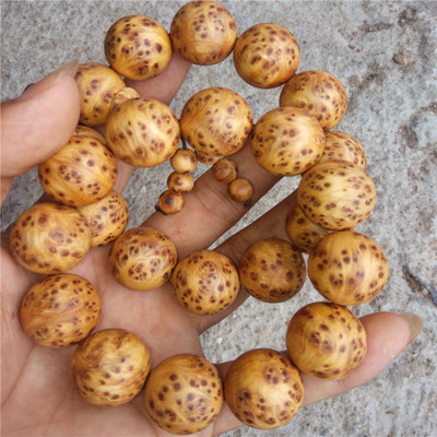 足球赌注软件APP