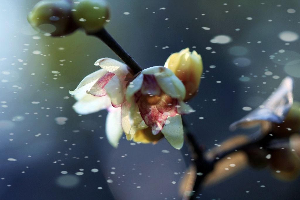 “十大足球赌注软件”首创置业首季签约销售额24.2亿元(图1) 足球赌注软件