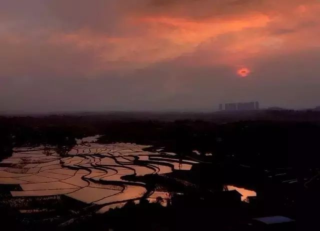 【亚冠】马来西亚、伊拉克评判员执裁国安、申花【十大足球赌注软件】(图4) 十大足球赌注软件