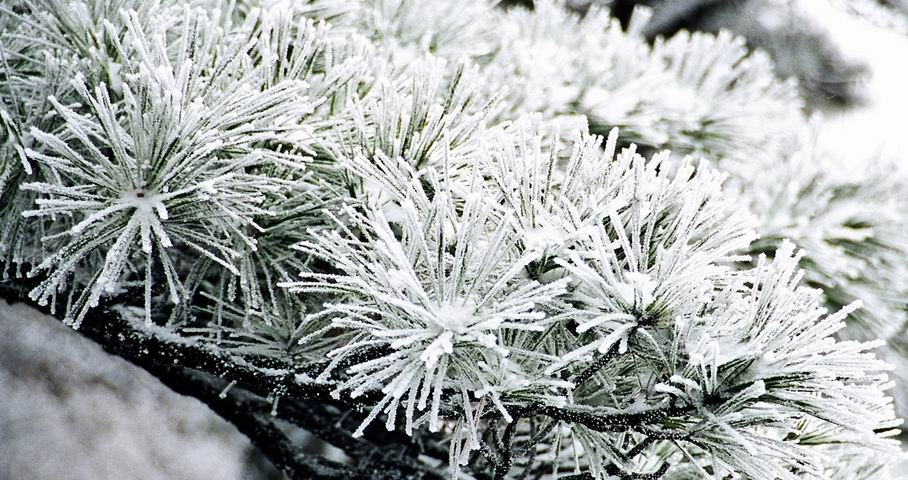 十大足球赌注软件排行榜