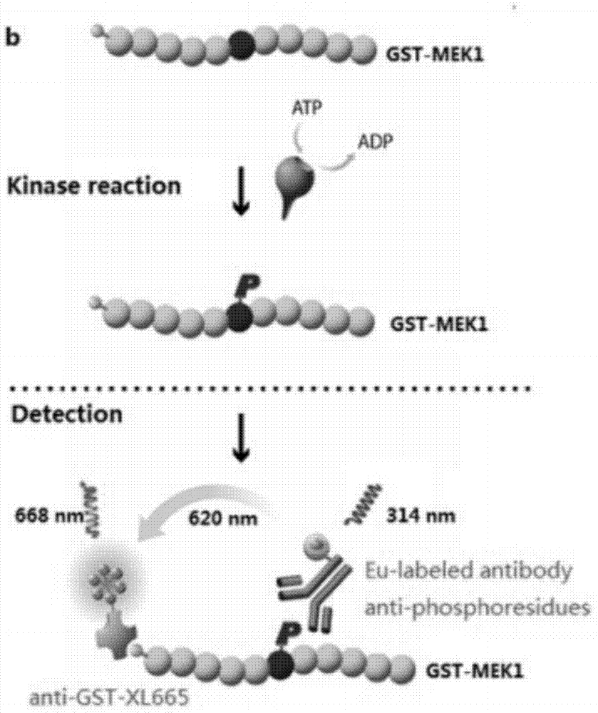 十大足球赌注软件排行榜