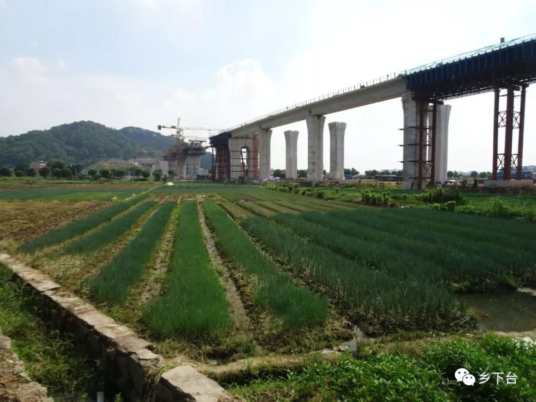 足球赌注软件APP