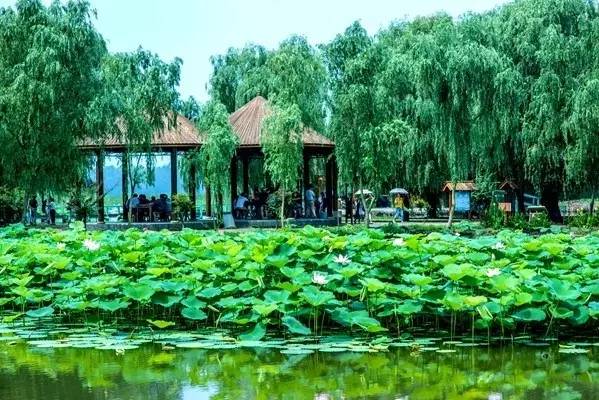 十大足球赌注软件排行榜