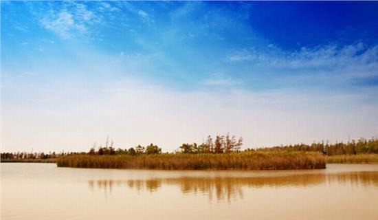 足球赌注软件APP