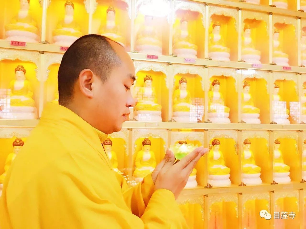 足球赌注软件APP