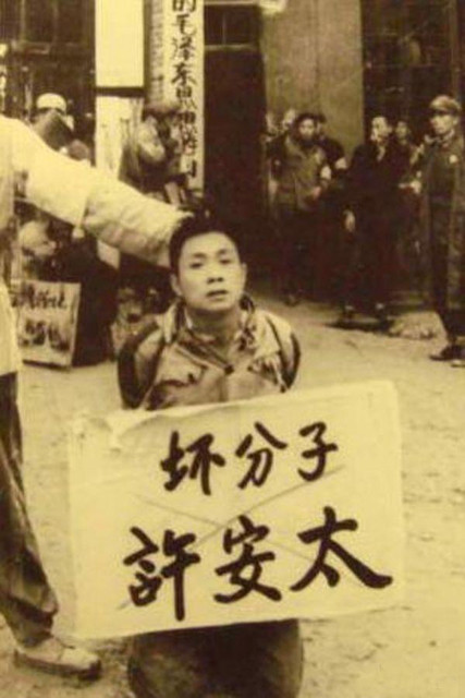 十大足球赌注软件排行榜_牺牲自我并领导全队,蜕变的博格巴是法国夺冠的关键(图1) 足球赌注软件APP