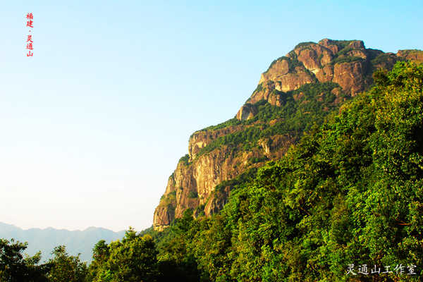 苏宁不努力才与上港碰面?今年亚冠淘汰赛或再上演中国德比|足球赌注软件APP(图3) 足球赌注软件