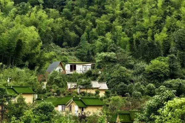 足球赌注软件APP