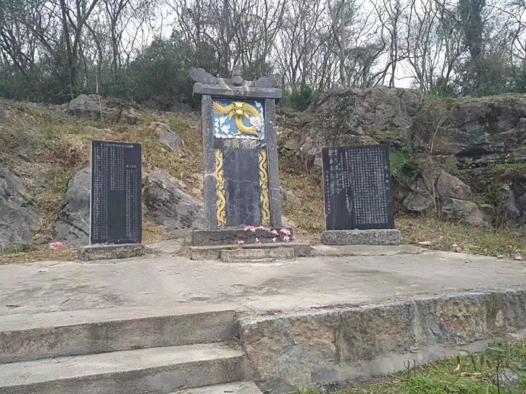 足球赌注软件APP