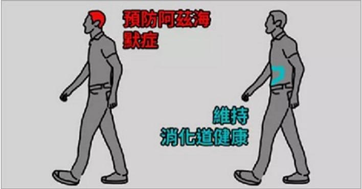 足球赌注软件