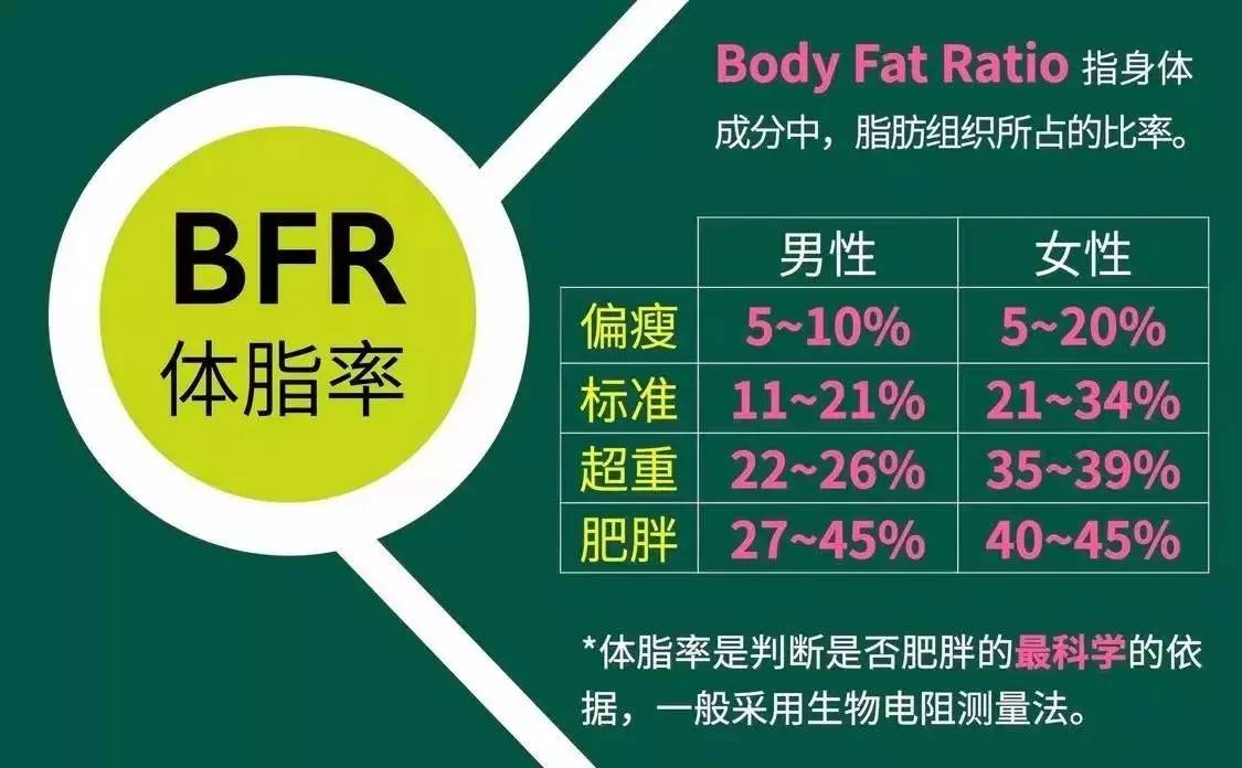 十大足球赌注软件
